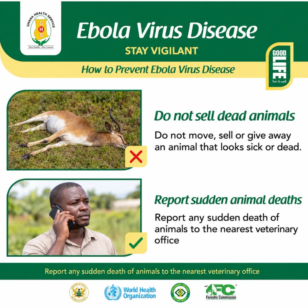 Ghana Health Service poster, Ebola Virus Disease: stay vigilant. How to prevent Ebola Virus Disease: do not sell dead animals. Do not move, sell or give away an animal that looks sick or dead. Report sudden animal deaths: report any sudden death of animals to the nearest veterinary office.